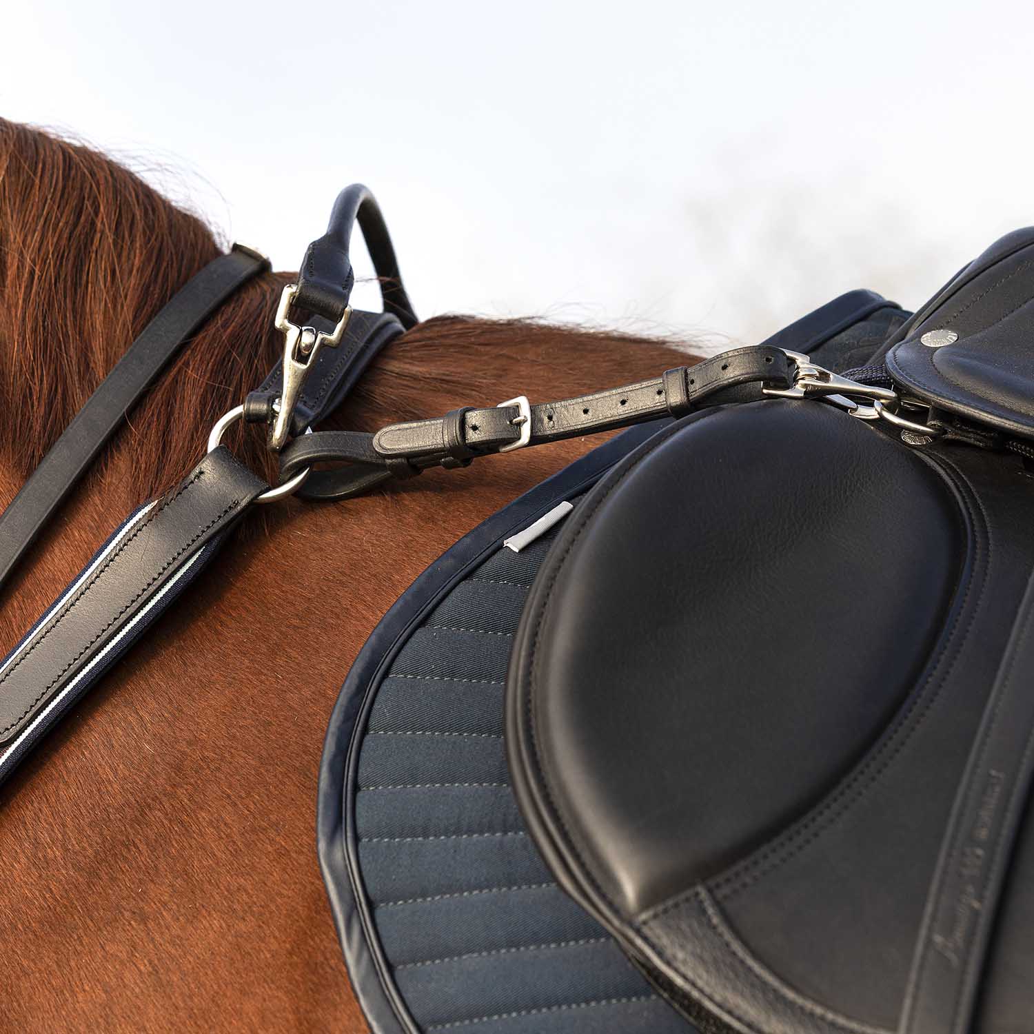 Rambo Micklem Breastplate