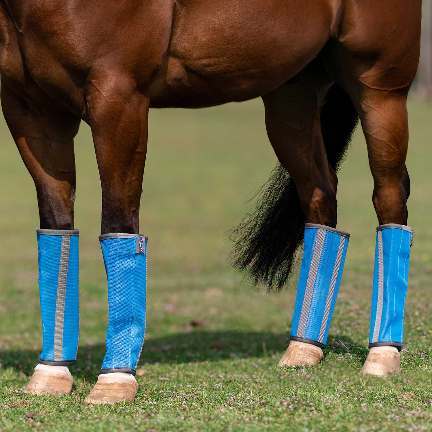 Professional's Choice Deluxe Fly Boots, 4 pack - Picture 5 of 7