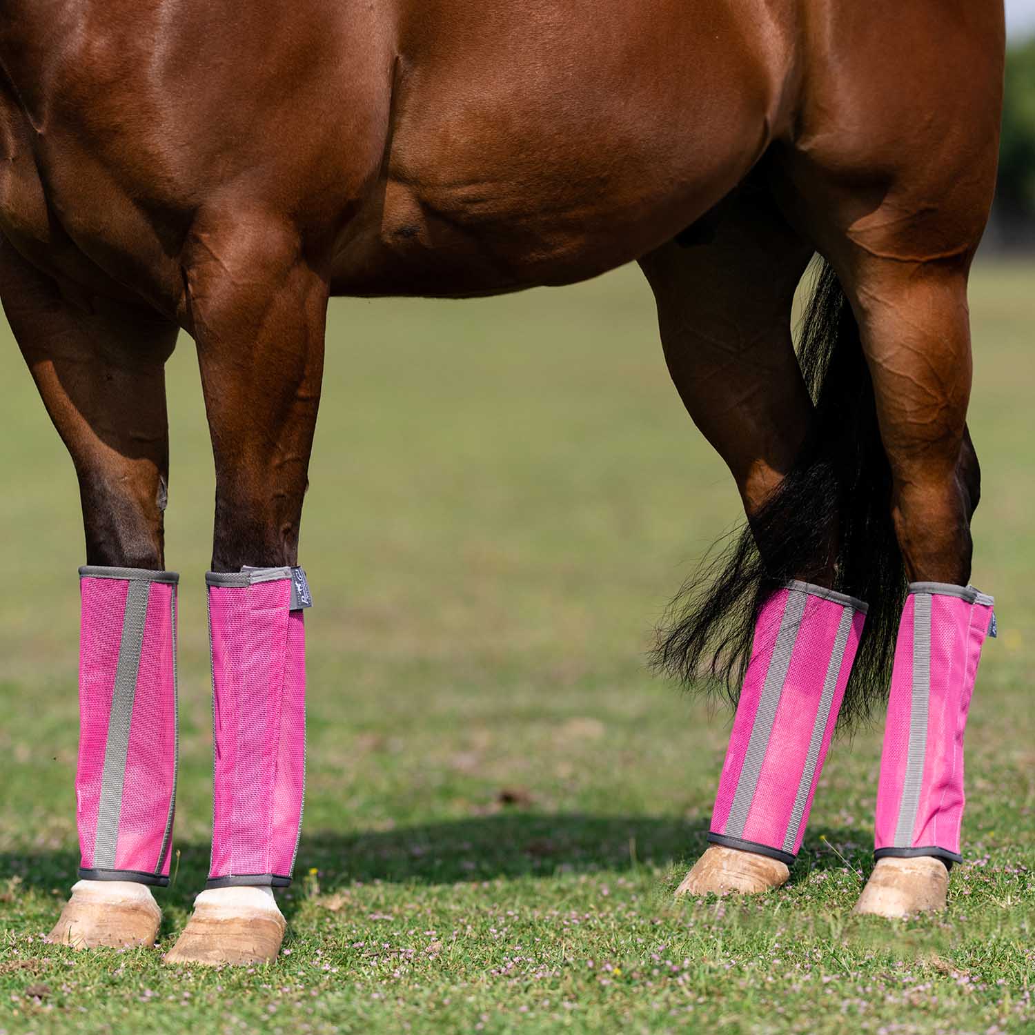 Professional's Choice Deluxe Fly Boots, 4 pack - Picture 7 of 7